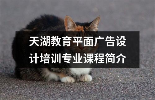 天湖教育平面广告设计培训专业课程简介