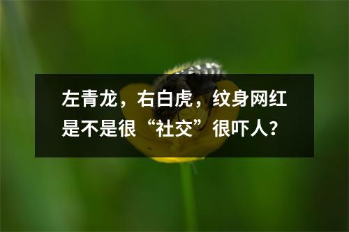 左青龙,右白虎,纹身网红是不是很“社交”很吓人?