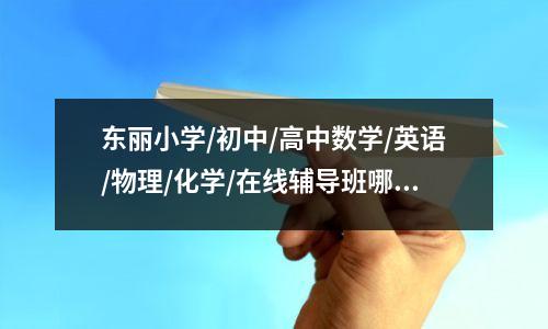 东丽小学/初中/高中数学/英语/物理/化学/在线辅导班哪家最好?
