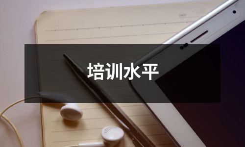 培训水平
