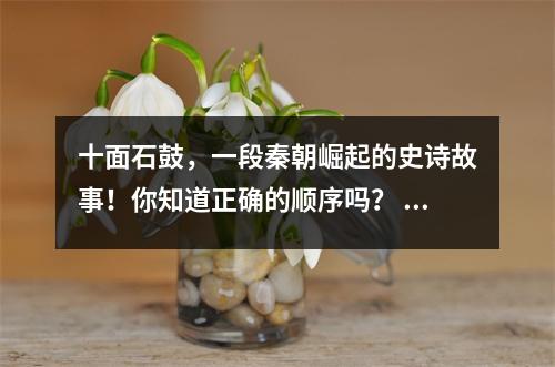 十面石鼓,一段秦朝崛起的史诗故事!你知道正确的顺序吗? 《石鼓》第五季详细回顾