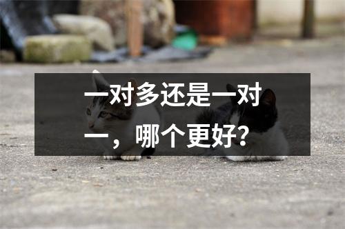 一对多还是一对一,哪个更好?