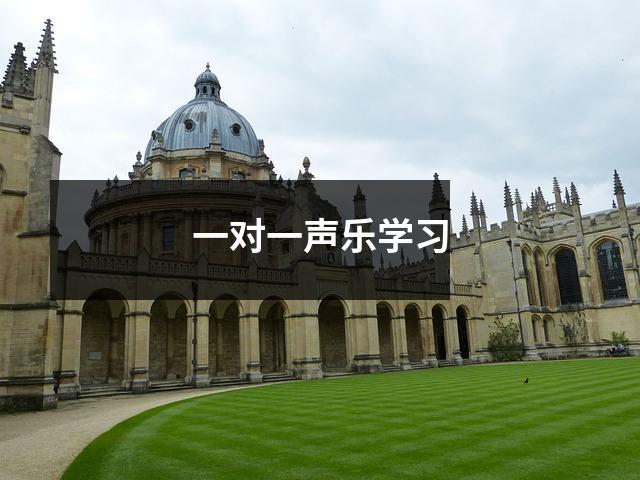 一对一声乐学习