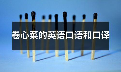 卷心菜的英语口语和口译