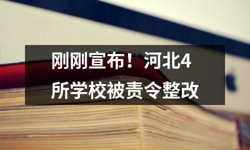 刚刚宣布!河北4所学校被责令整改