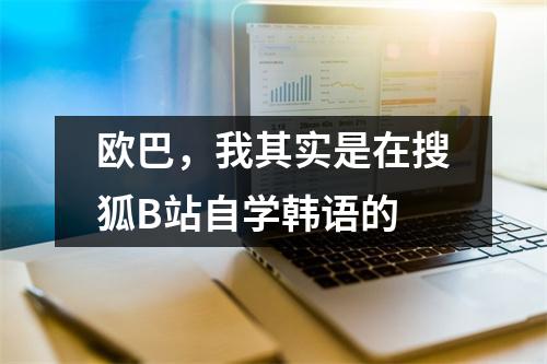 欧巴,我其实是在搜狐B站自学韩语的