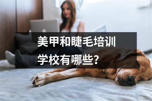 美甲和睫毛培训学校有哪些?