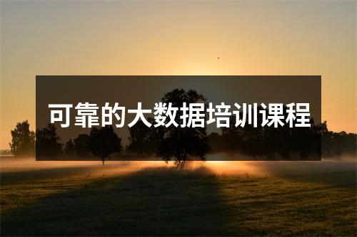 可靠的大数据培训课程