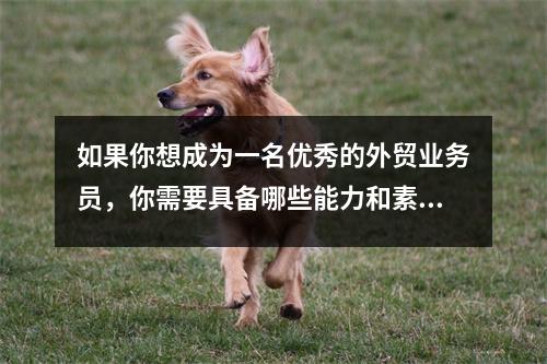 如果你想成为一名优秀的外贸业务员,你需要具备哪些能力和素质?