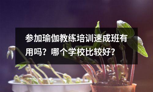 参加瑜伽教练培训速成班有用吗?哪个学校比较好?