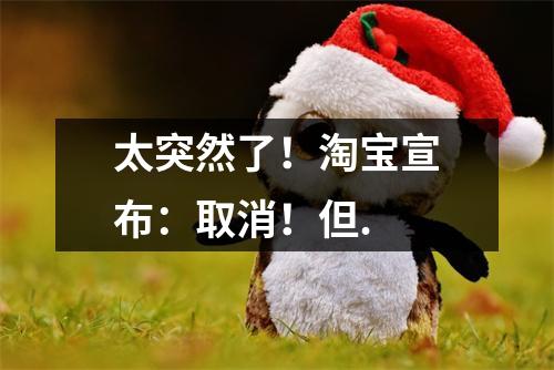 太突然了!淘宝宣布:取消!但.
