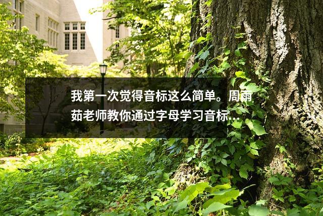我第一次觉得音标这么简单。周雨茹老师教你通过字母学习音标。