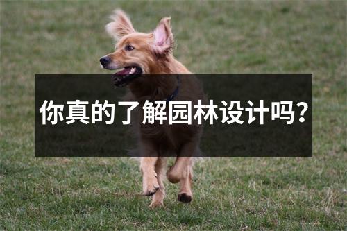 你真的了解园林设计吗?