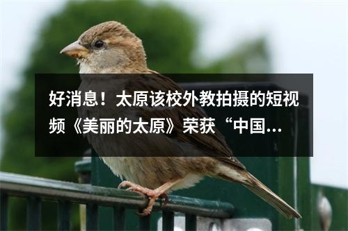 好消息!太原该校外教拍摄的短视频《美丽的太原》荣获“中国最美四季”优秀作品奖!