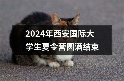 2024年西安国际大学生夏令营圆满结束