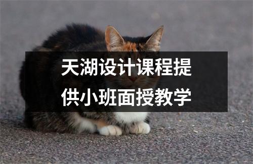 天湖设计课程提供小班面授教学