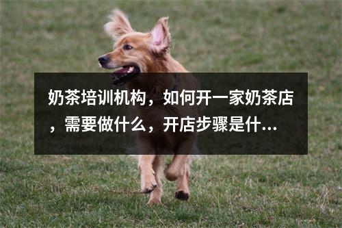 奶茶培训机构,如何开一家奶茶店,需要做什么,开店步骤是什么?