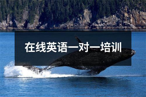 在线英语一对一培训