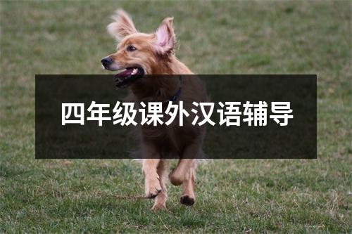 四年级课外汉语辅导