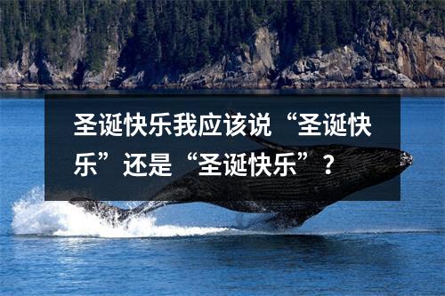 圣诞快乐我应该说“圣诞快乐”还是“圣诞快乐”?
