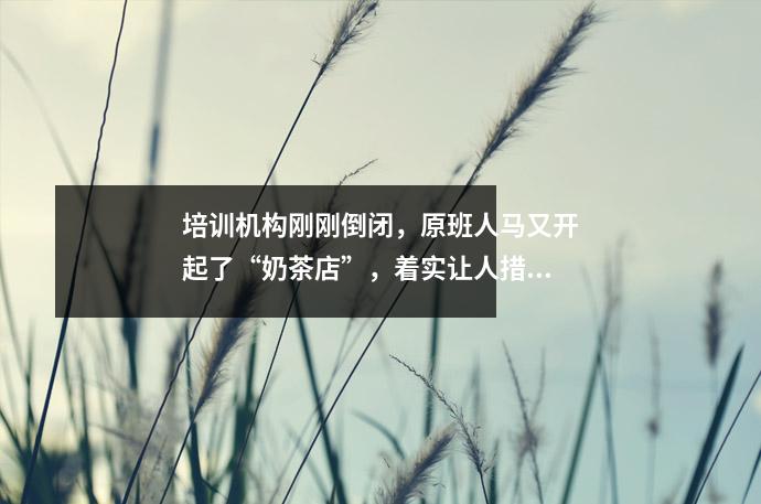 培训机构刚刚倒闭,原班人马又开起了“奶茶店”,着实让人措手不及