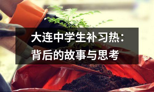 大连中学生补习热:背后的故事与思考