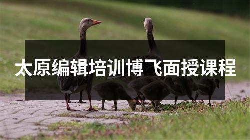 太原编辑培训博飞面授课程