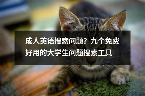 成人英语搜索问题?九个免费好用的大学生问题搜索工具