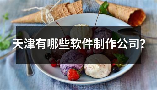 天津有哪些软件制作公司?