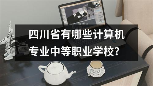 四川省有哪些计算机专业中等职业学校?