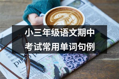 小三年级语文期中考试常用单词句例