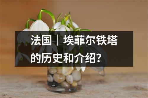 法国|埃菲尔铁塔的历史和介绍?