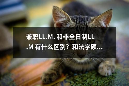 兼职LL.M. 和非全日制LL.M 有什么区别?和法学硕士?