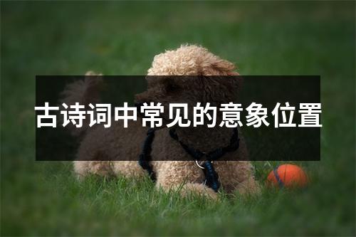 古诗词中常见的意象位置