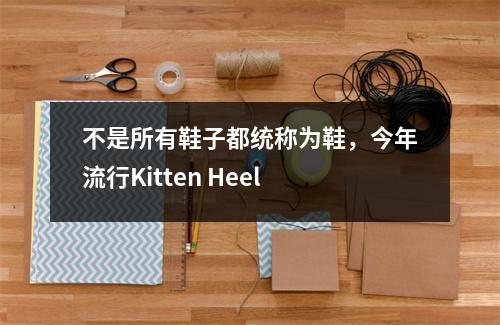 不是所有鞋子都统称为鞋,今年流行Kitten Heel