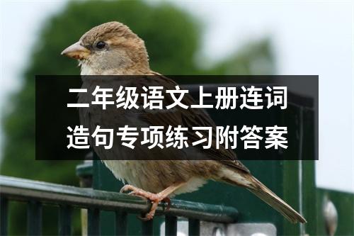 二年级语文上册连词造句专项练习附答案