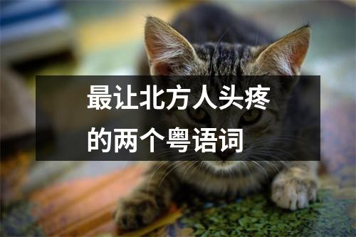 最让北方人头疼的两个粤语词