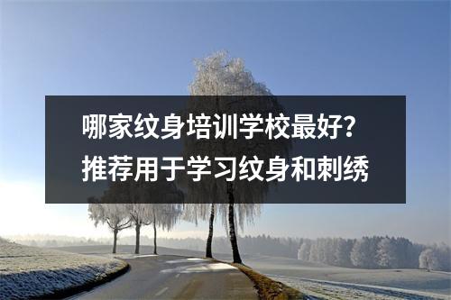 哪家纹身培训学校最好?推荐用于学习纹身和刺绣