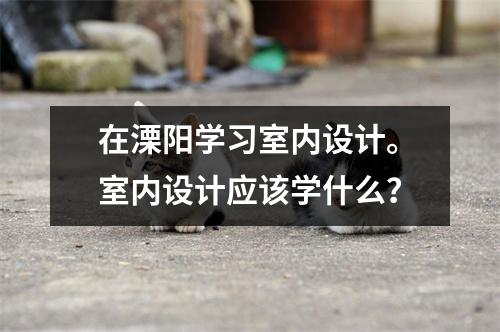 在溧阳学习室内设计。室内设计应该学什么?