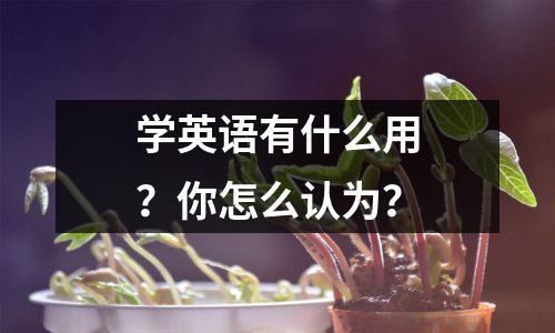 学英语有什么用?你怎么认为?
