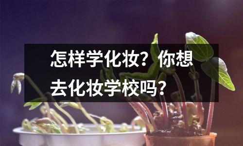 怎样学化妆?你想去化妆学校吗?
