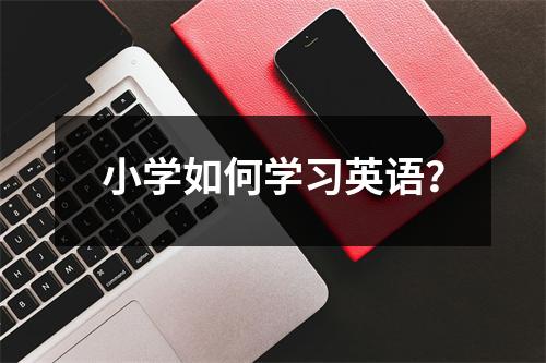 小学如何学习英语?