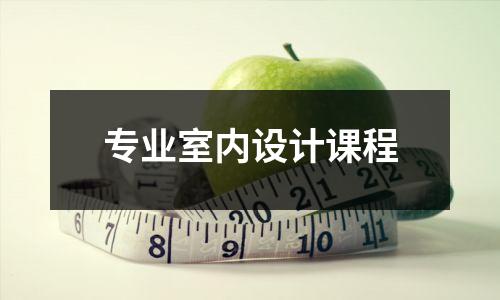 专业室内设计课程
