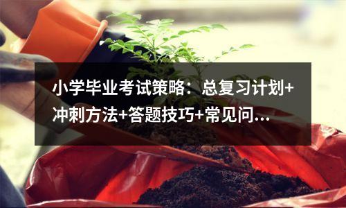 小学毕业考试策略:总复习计划+冲刺方法+答题技巧+常见问题解答