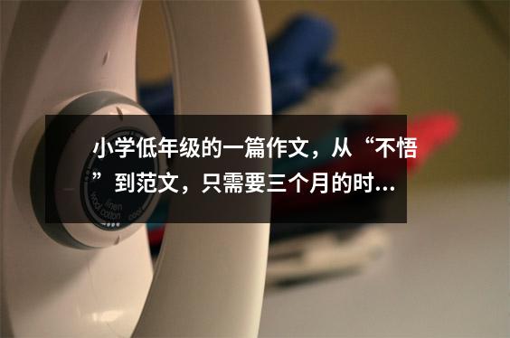 小学低年级的一篇作文,从“不悟”到范文,只需要三个月的时间。该方法简单易行。