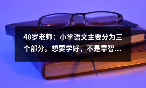 40岁老师:小学语文主要分为三个部分。想要学好,不是靠智商,而是靠笨方法。