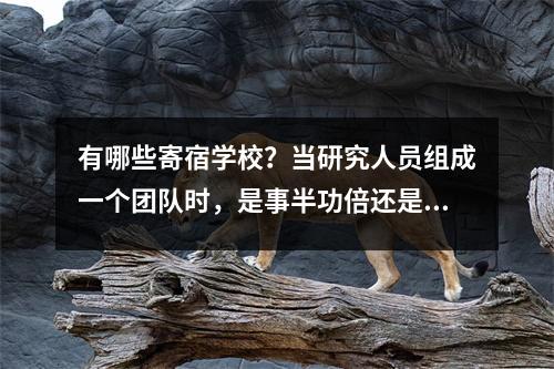 有哪些寄宿学校?当研究人员组成一个团队时,是事半功倍还是事半功倍?