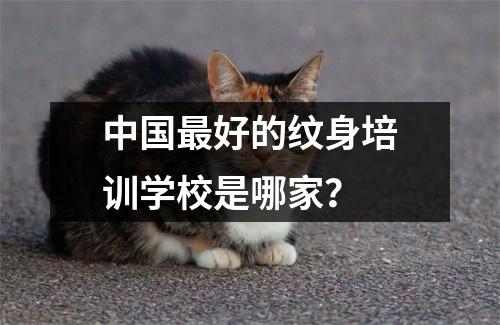 中国最好的纹身培训学校是哪家?