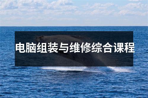 电脑组装与维修综合课程