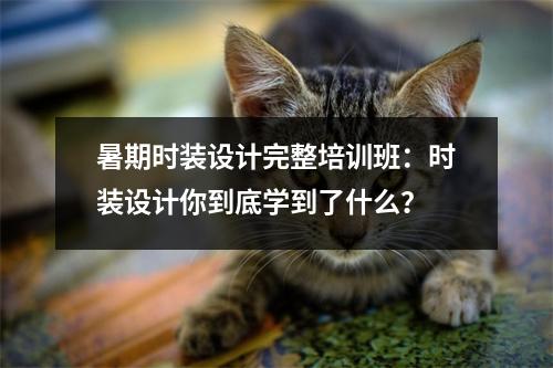 暑期时装设计完整培训班:时装设计你到底学到了什么?